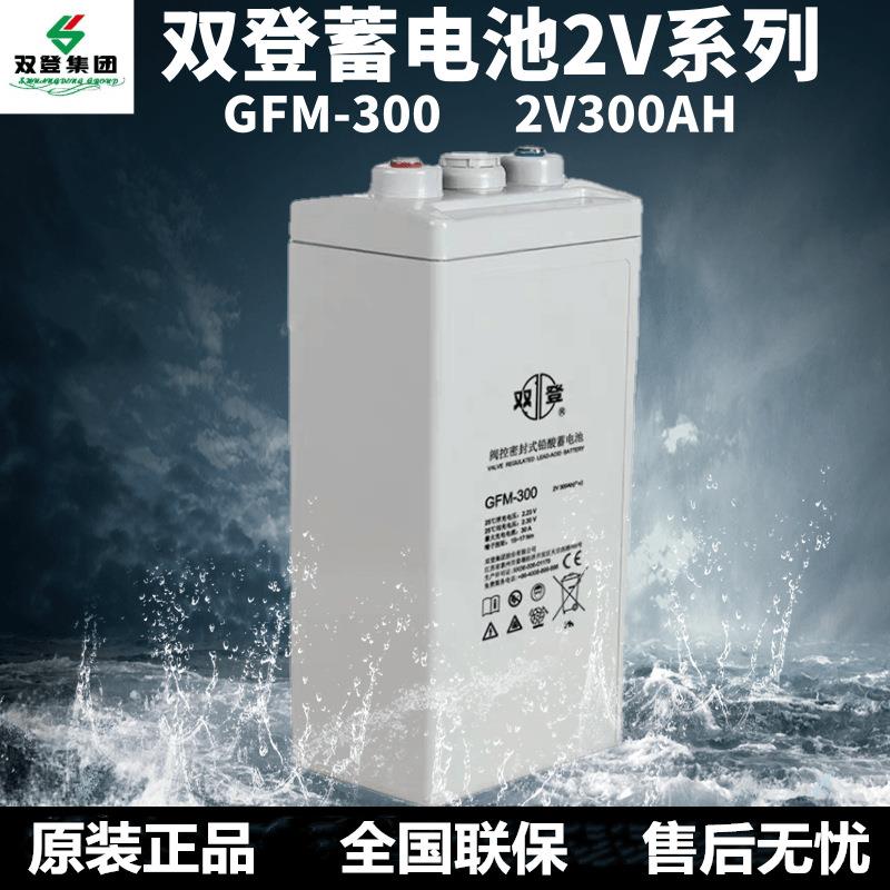 GFM-300铅酸蓄电池2V300AH机房基站UPS EPS通信消防 应急船舶