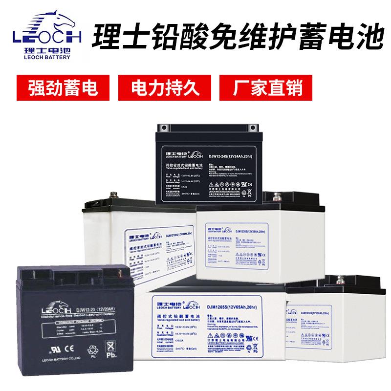 LEOCH铅酸免维护蓄电池12V100AH DJM12100计算机系统电池