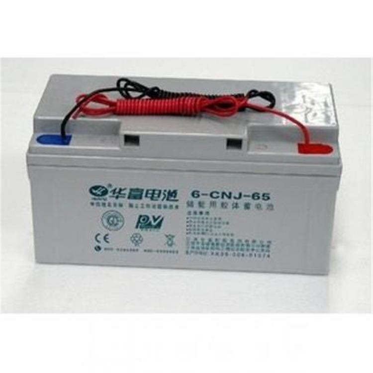 蓄电池6-CNJ-65胶体蓄电池12V65Ah免维护储能蓄电池 质保三年