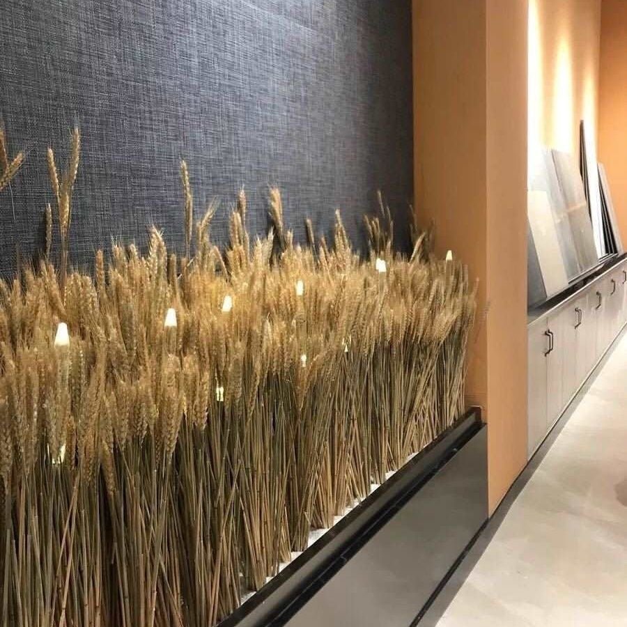 天然干花麦穗真花麦子开业大麦橱窗农家乐装饰拍摄道具插花