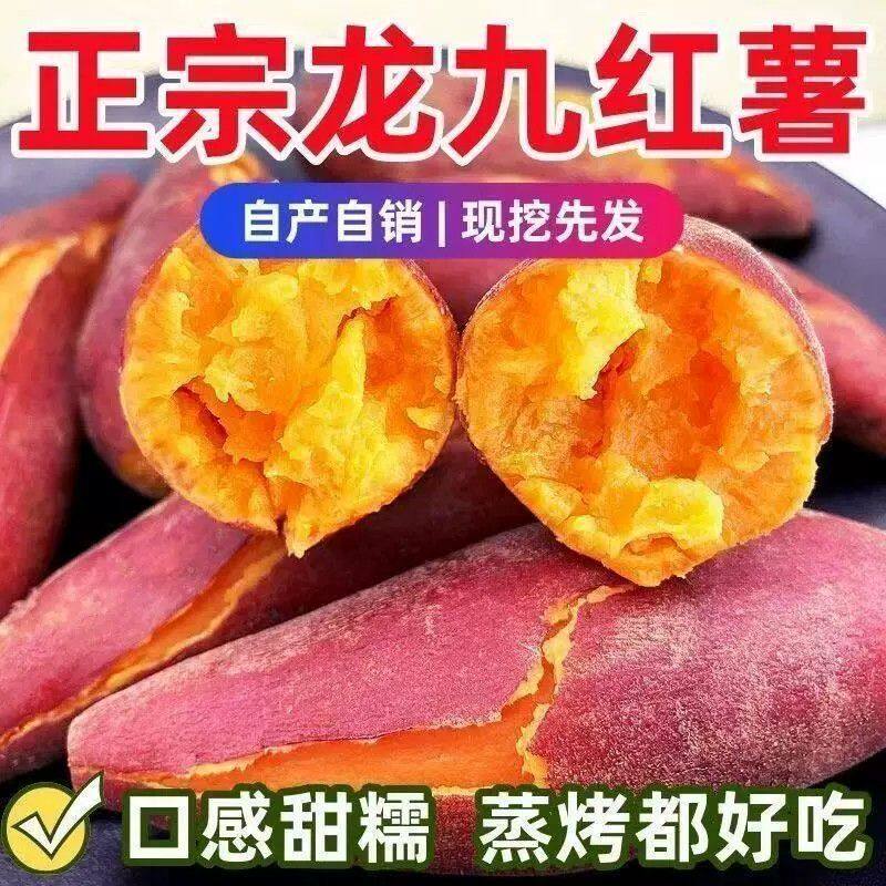 新鲜龙九蜜薯红薯现挖正宗红心黄心红薯农家番薯香甜地瓜山芋批发