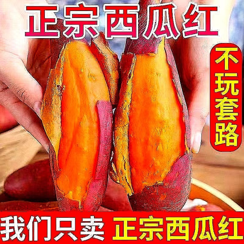 新鲜现挖西瓜红蜜薯地瓜农家自种