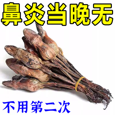 【100%不覆发】鼻炎鼻窦炎专用特效药贴儿童过敏性鼻甲肥大克星HH