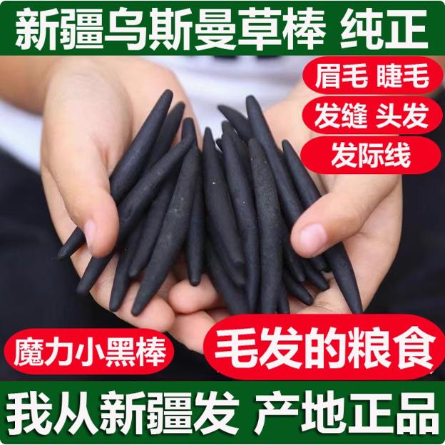 乌斯曼草棒乌斯曼草吾斯曼头发棒