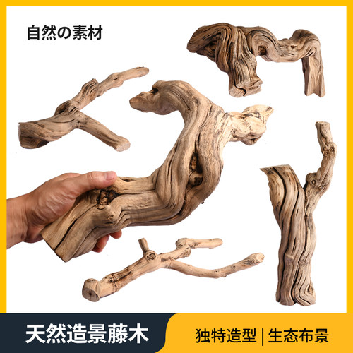 爬宠雨林缸造景霸王藤木爬虫攀爬藤条守宫鬃狮蜥蜴睫角蛇躲避树栖