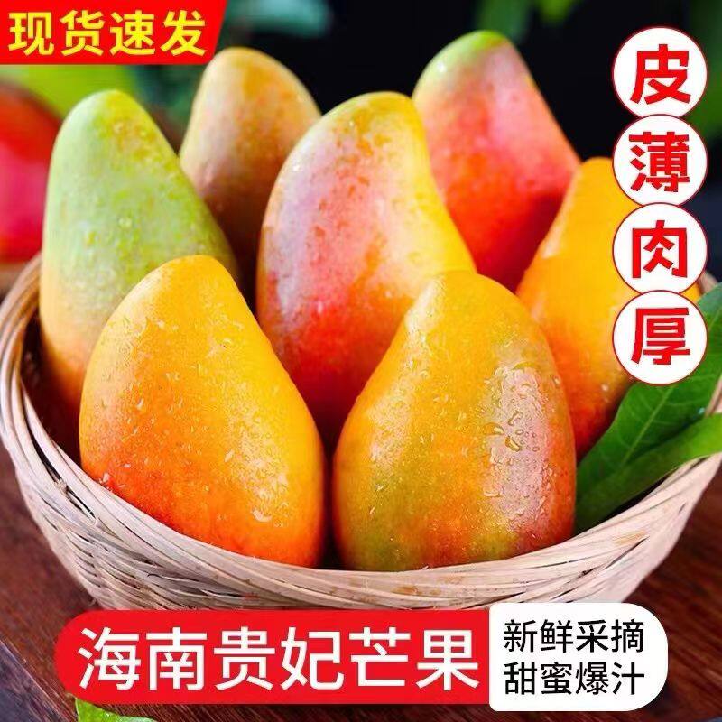 海南贵妃芒5斤树上熟芒果三亚特产当季新鲜水果自然熟特大果