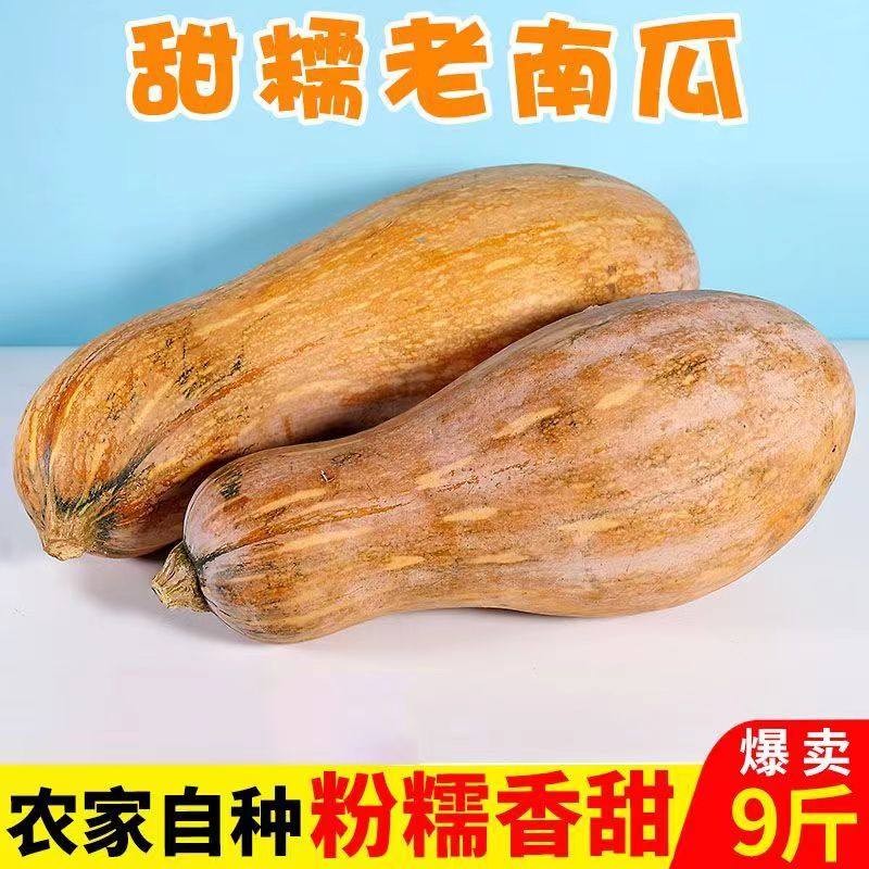 新鲜黄南瓜农家粉糯老南瓜老品种南瓜健康轻食生鲜老南瓜9斤,水产肉类/新鲜蔬果/熟食,南瓜,淘宝优惠券,粉丝福利购,淘宝优惠卷