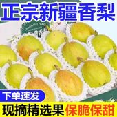 正宗新疆库尔勒香梨新鲜水果9斤全母梨当季 脆甜多汁直发整箱5