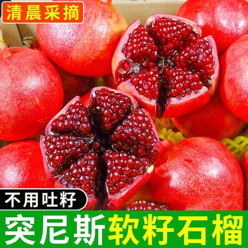 【精品】四川会理突尼斯软籽石榴正宗应季新鲜水果红宝石无籽甜大