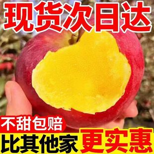 新疆阿克苏冰糖心苹果新鲜应当季水果红富士丑甜平果5斤整箱包邮