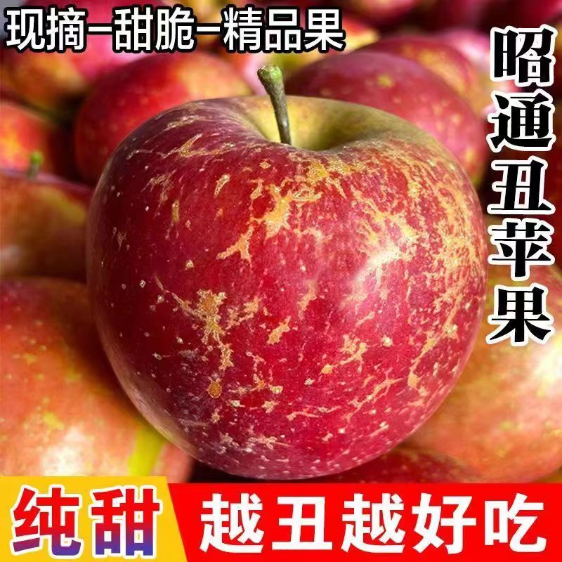 5斤现摘云南昭通丑苹果冰糖心新鲜孕妇水果脆甜当季苹果整箱