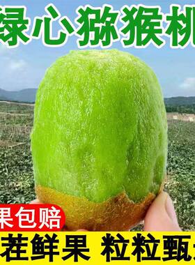正宗徐香猕猴桃新鲜当季5斤水果河南整箱包邮绿心时令奇异果