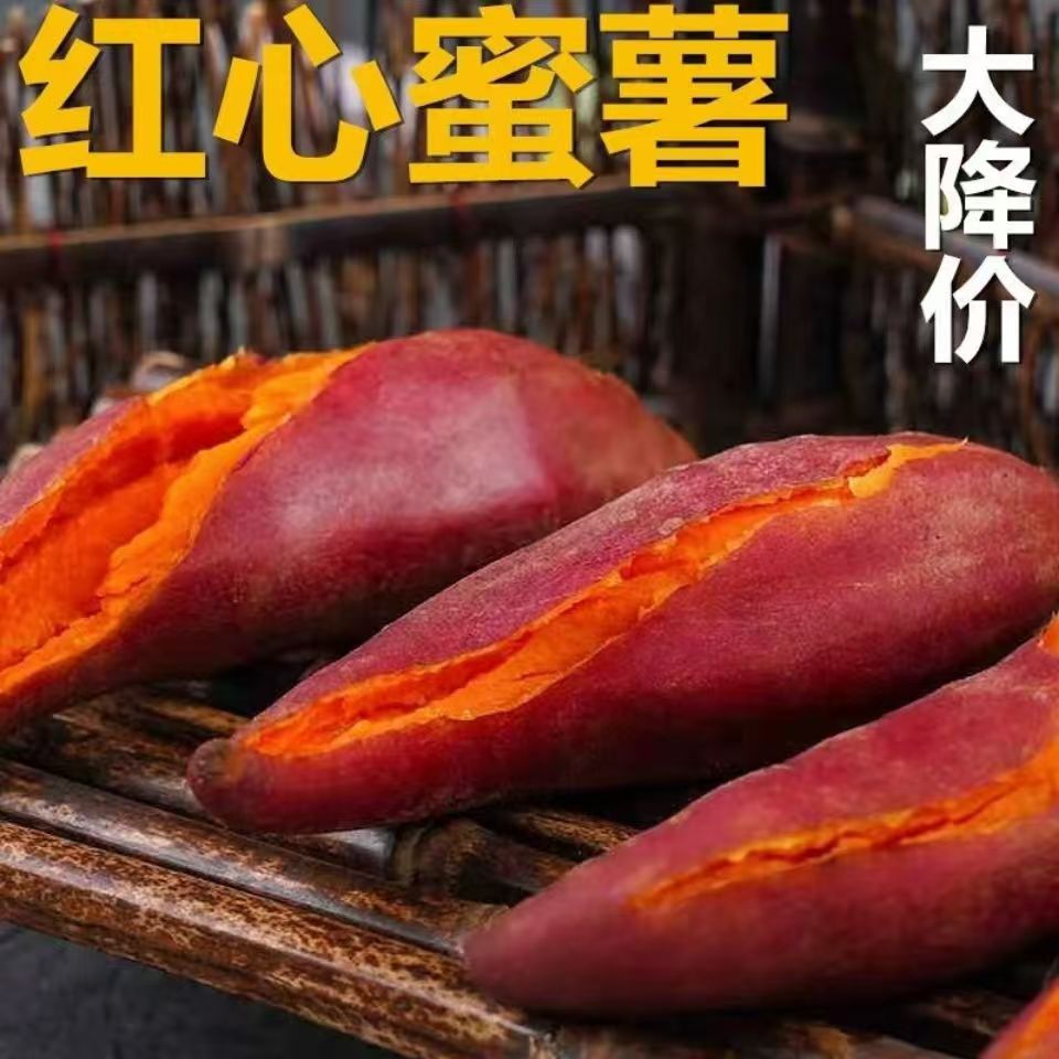 红薯红心西瓜红糖心蜜薯粉糯香甜烤地瓜新鲜农家现挖沙地番薯山芋