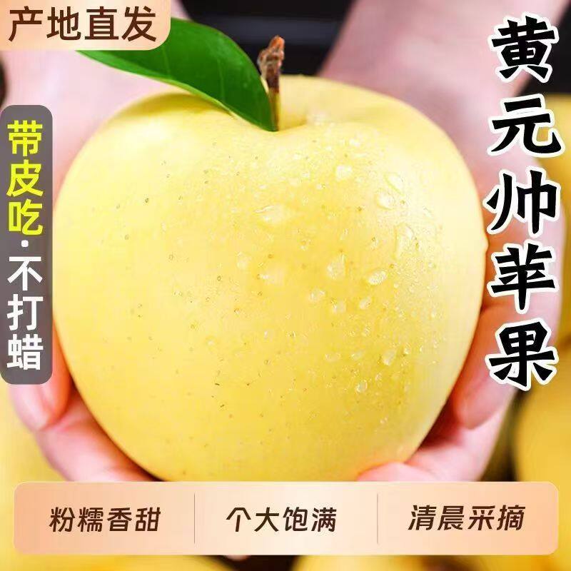 当季新鲜应季水果黄元帅苹果整箱包邮黄金脆脆直发正宗农场现摘