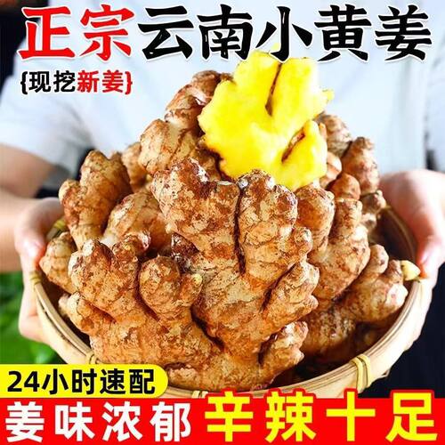 正宗云南小黄姜5斤红河新鲜生姜老姜现挖高山沙姜老姜土姜种蔬菜