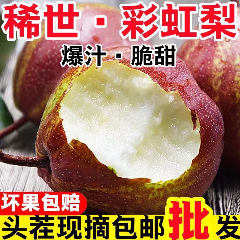 彩虹梨陕西新鲜梨子水果当季红皮梨甜早酥梨整箱包邮现摘鲜果脆梨