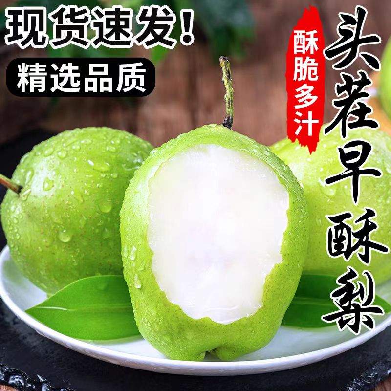 陕西当季早酥梨青皮梨子新鲜时令大果一整箱孕妇水果薄皮多汁