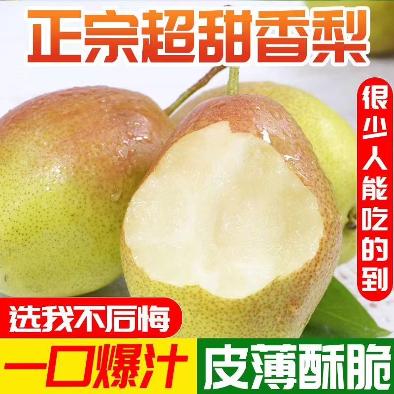 正宗红香酥梨10斤当季现摘脆甜梨子酥梨香梨孕妇新鲜水果整箱包邮