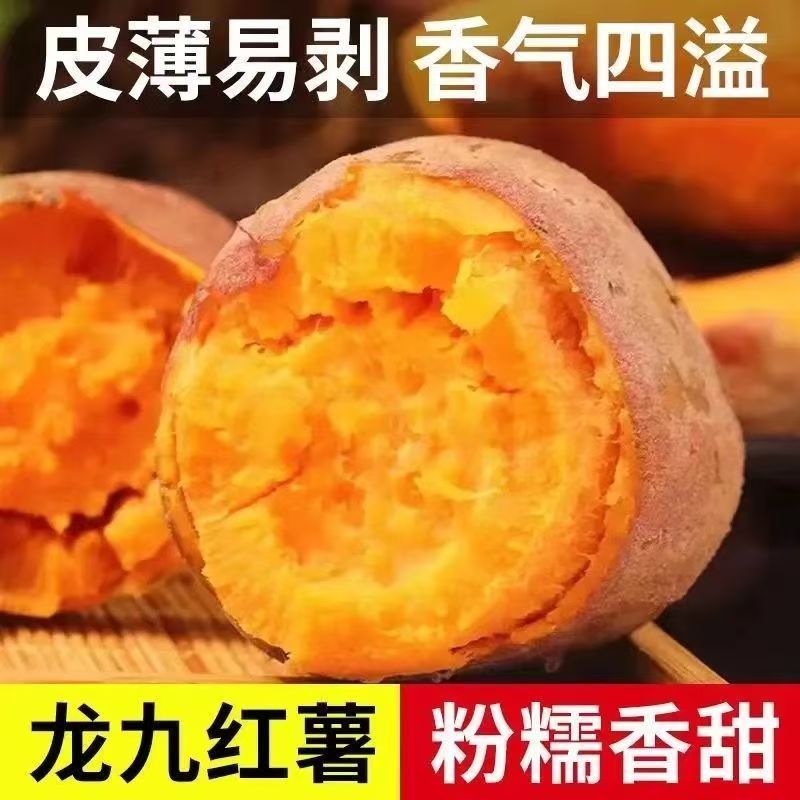 农家自种沙地龙九蜜薯黄红心红薯番薯山芋糖心龙九红薯新鲜烤地瓜