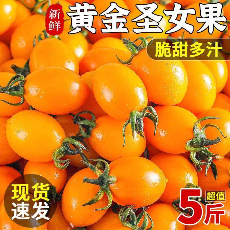 黄金圣女果新鲜现摘黄色樱桃小番茄甜西红柿应季生吃水果整箱包邮