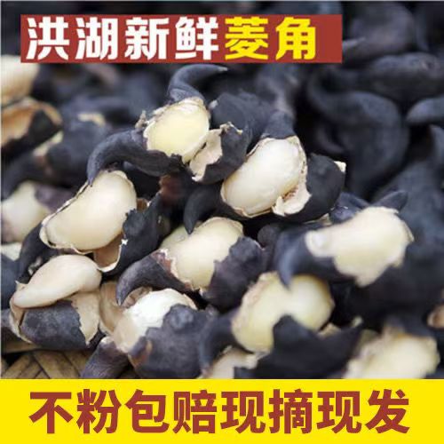 洪湖菱角新鲜生棱角现摘青菱角粉糯老莲角黑凌角湖北特产时令蔬菜