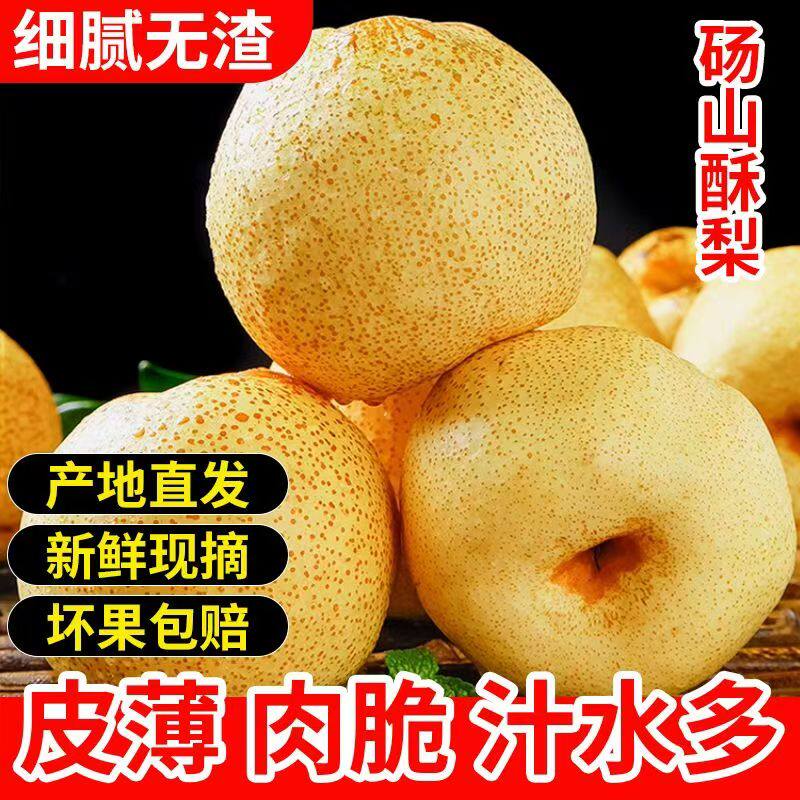 应季梨子新鲜5斤安徽正宗砀山梨砀山酥梨整箱水果梨雪香现摘自提
