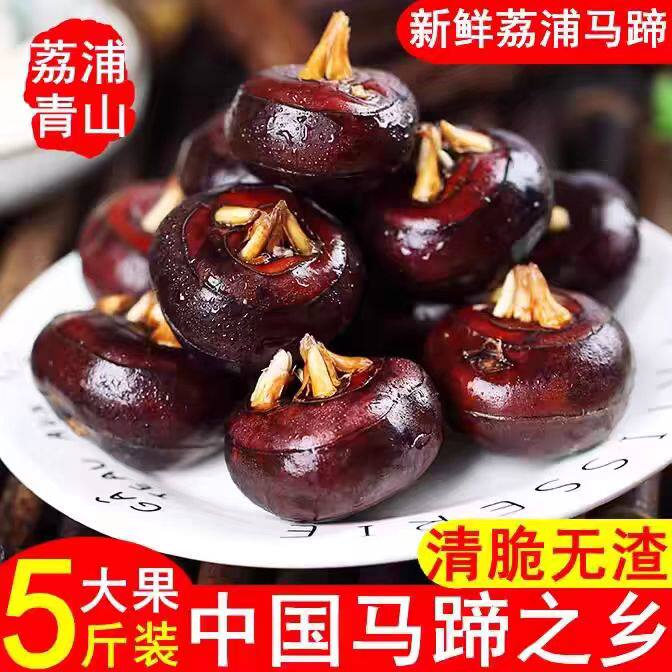 广西荔浦水果马蹄荸荠脆甜多汁应季水果蔬菜现挖马蹄荸荠包邮