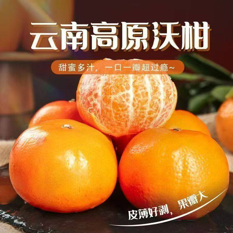 云南大理宾川沃柑蜜橘子新鲜应当季水果纯甜桔超甜手剥农产品