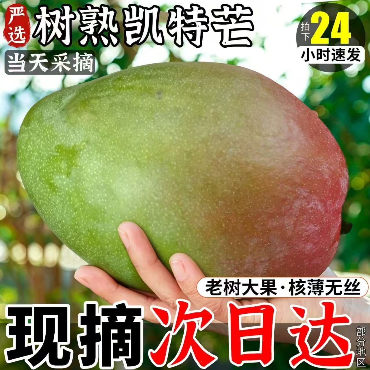 正宗凯特芒新鲜芒果当季水果四川甜心青皮澳芒现摘大果整箱