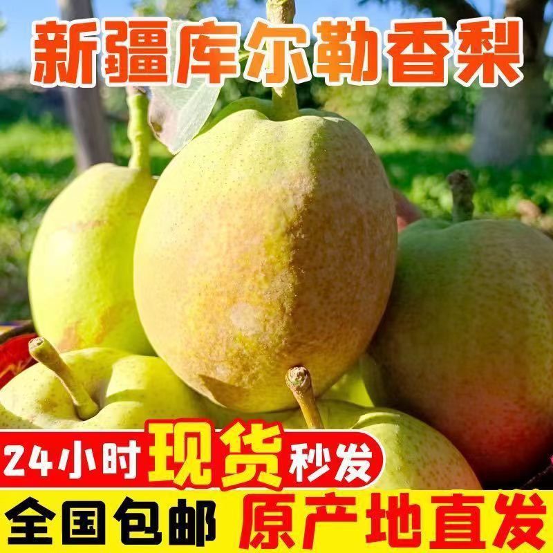 正宗红香酥梨新疆梨子新鲜当季薄皮香梨青酥梨脆甜蜜雪梨整箱包邮