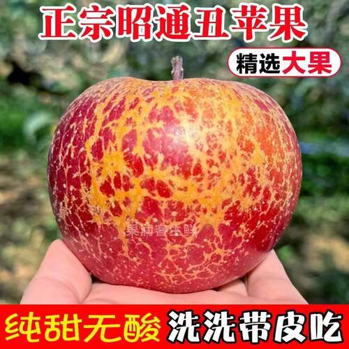2024云南昭通市丑苹果水果新鲜整箱当季10斤红露富士糖心苹果绍通