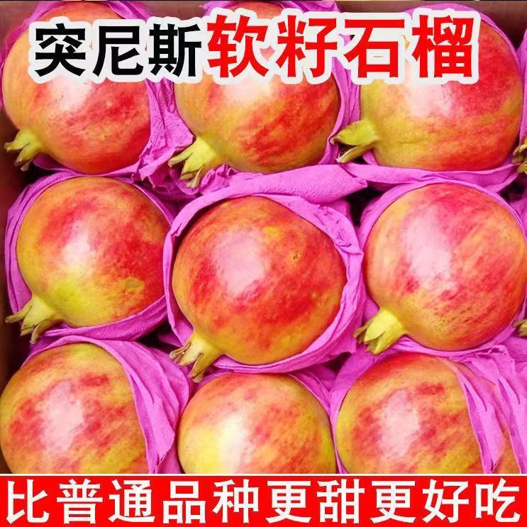 突尼斯软籽石榴新鲜当季水果整箱四川会理红宝石榴包邮特价