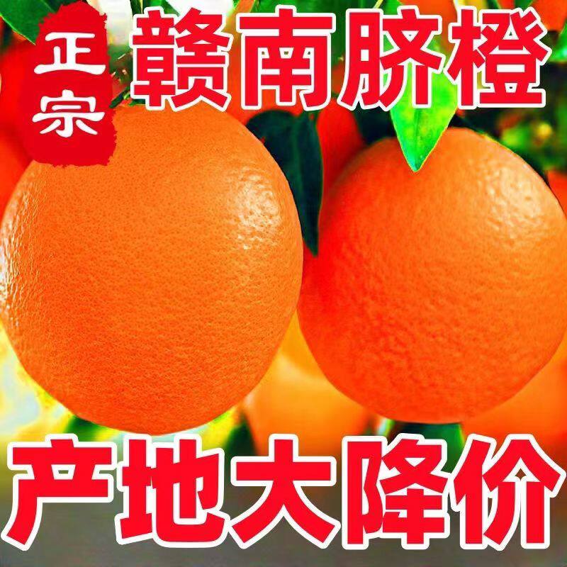 【顺丰包邮】赣南脐橙新鲜橙子5斤现摘现发榨汁水果产地直发包邮