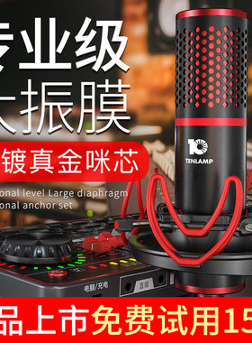 十盏灯 p10主播声卡手机电脑通用直播设备唱歌专用电容麦克风话筒