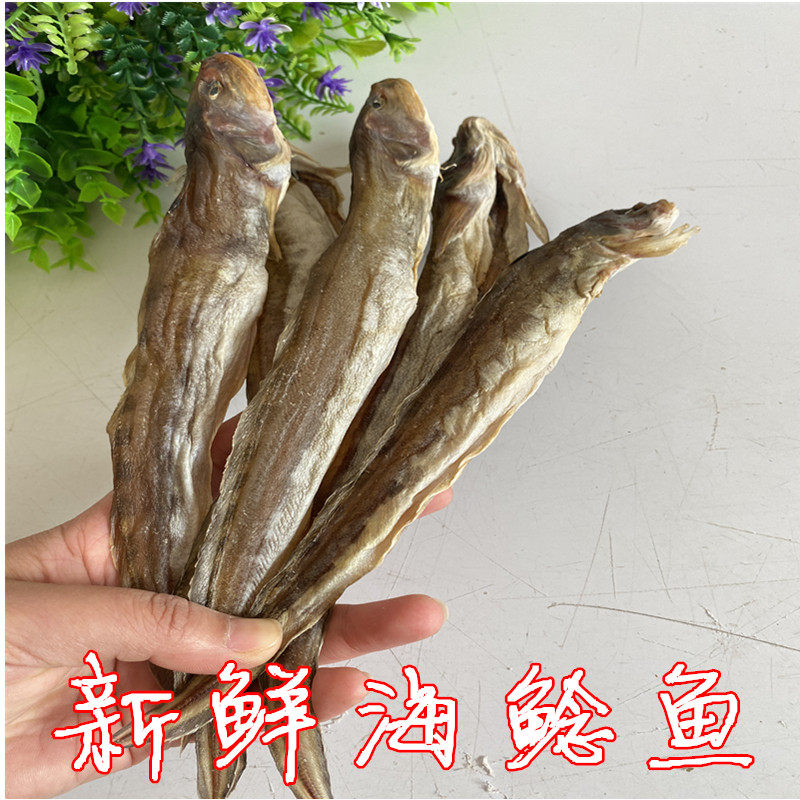 山东日照岚山区海鱼干