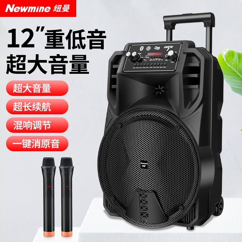歌演出话筒家用拉杆大音量纽曼N5