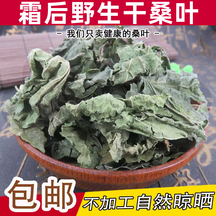 新货霜干桑叶特级中药材桑叶茶