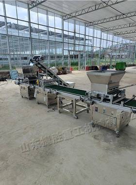 全动穴苗盘自育播种机自动光机感泡GVW沫盘点种带覆土蔬菜种育苗