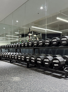 哑铃架 壶铃架 商用家用健身哑铃架 隶德体育LeadStrong