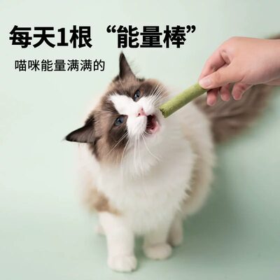 猫草棒咪磨牙冻干零食成