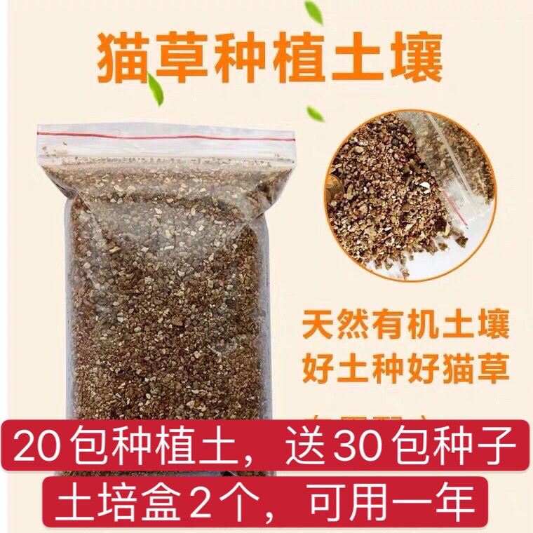 猫草泥土猫草种植套装猫草种子小麦草去毛球种籽盆栽用品营养土喵