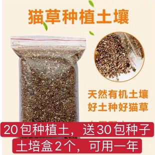 猫草种子小麦草去毛球种籽盆栽用品营养土喵 猫草泥土猫草种植套装