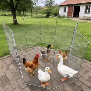 户外可折叠家禽围栏鸡笼家用庭院防黄鼠狼鸡舍鸡鸭鹅兔散养防护栏