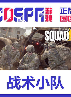 steam 正版 国区 激活码 战术小队 激活入库 cdkey PC端游戏Squad