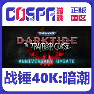steam正版国区 战锤40K暗潮激活码cdkey Warhammer 40000Darktide