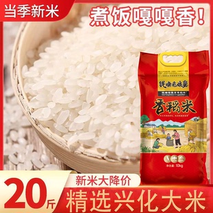 钱塘老娘舅餐饮同款大米香稻米新米软糯香兴化米营养粥米20斤