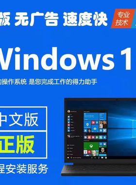 正版win10系统安装专业版家庭版纯净电脑远程重装windows10升级11