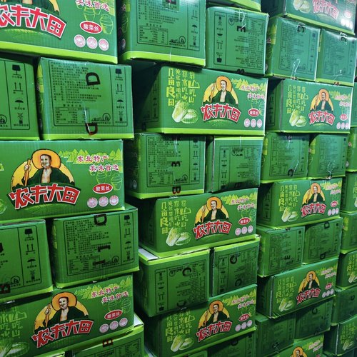 农夫大田东北酸菜商用腌制线切