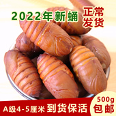 东北特产大连柞蚕蛹新鲜活蚕蛹大黄茧蛹黑蛹蝉蛹二黄蛹500g 包邮