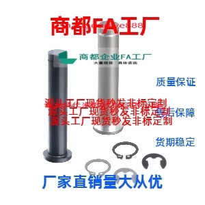 铰链销CDGH4/CCG6/12/10/CDG8-15/20/22/25/30/35/40/50/ C-SCDG5